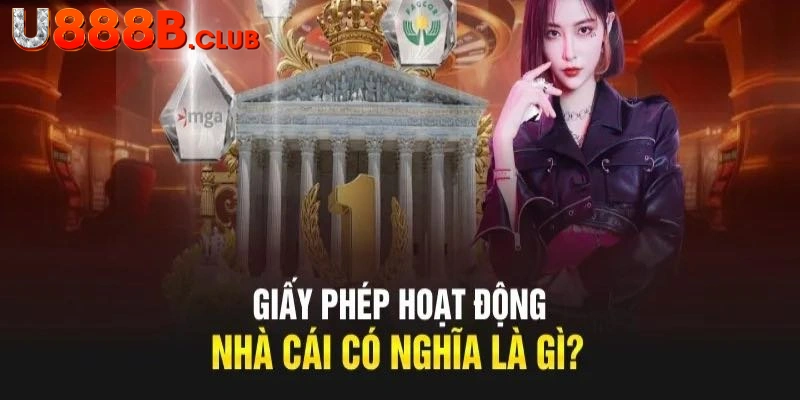 Giới thiệu tổng quan về giấy phép hoạt động